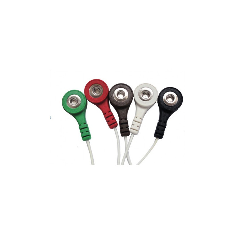 Câble Holter AFT-1000 2 voies 5 brins 250/1000 hertz