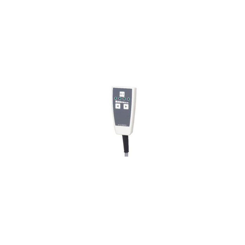 Télécommande pour Strassle DT100 et DT100A