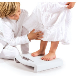 354 seca scale